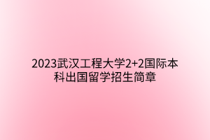 2023武漢工程大學2+2國際本科出國留學招生簡章