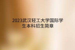 2023武漢輕工大學(xué)國際學(xué)生本科招生簡章