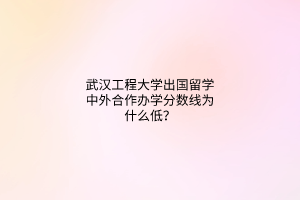 武漢工程大學(xué)出國留學(xué)中外合作辦學(xué)分?jǐn)?shù)線為什么低？