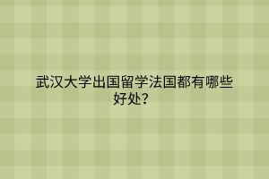 武漢大學(xué)出國(guó)留學(xué)法國(guó)都有哪些好處？
