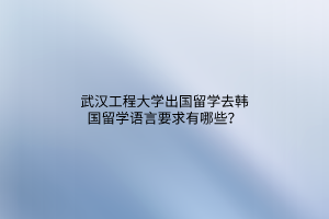 武漢工程大學(xué)出國(guó)留學(xué)去韓國(guó)留學(xué)語(yǔ)言要求有哪些？