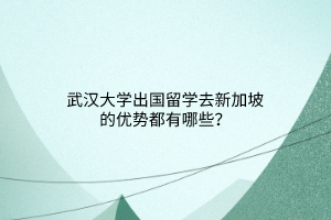 武漢大學出國留學去新加坡的優(yōu)勢都有哪些？