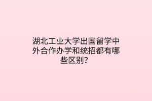 湖北工業(yè)大學(xué)出國(guó)留學(xué)中外合作辦學(xué)和統(tǒng)招都有哪些區(qū)別？