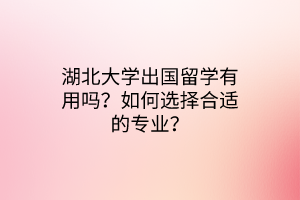 湖北大學(xué)出國留學(xué)有用嗎？如何選擇合適的專業(yè)？