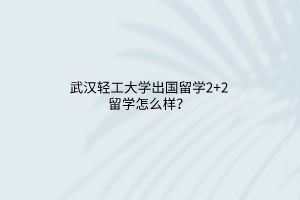 武漢輕工大學(xué)出國留學(xué)2+2留學(xué)怎么樣？