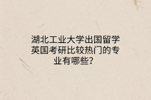 湖北工業(yè)大學出國留學英國考研比較熱門的專業(yè)有哪些？