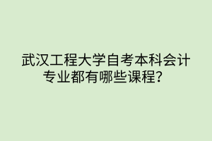 武漢工程大學(xué)自考本科會(huì)計(jì)專(zhuān)業(yè)都有哪些課程？