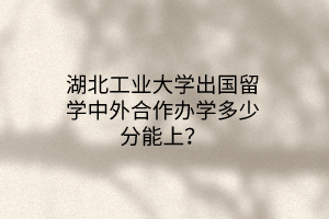 湖北工業(yè)大學(xué)出國(guó)留學(xué)中外合作辦學(xué)多少分能上？