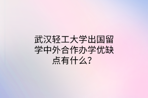 武漢輕工大學(xué)出國留學(xué)中外合作辦學(xué)優(yōu)缺點(diǎn)有什么？