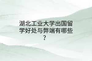 湖北工業(yè)大學出國留學好處與弊端有哪些？