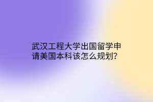 武漢工程大學(xué)出國留學(xué)申請美國本科該怎么規(guī)劃？