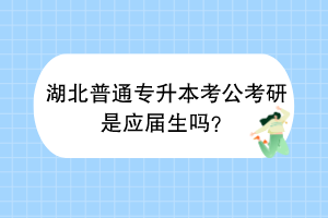 湖北普通專升本考公考研是應(yīng)屆生嗎？