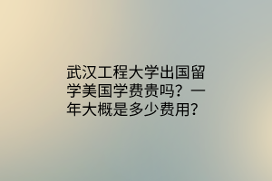 武漢工程大學(xué)出國(guó)留學(xué)美國(guó)學(xué)費(fèi)貴嗎？一年大概是多少費(fèi)用？