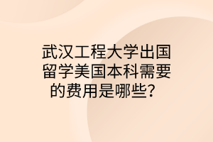 武漢工程大學(xué)出國留學(xué)美國本科需要的費(fèi)用是哪些？