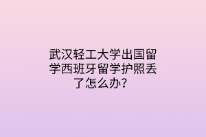 武漢輕工大學(xué)出國留學(xué)西班牙留學(xué)護照丟了怎么辦？