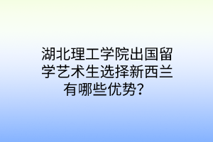 湖北理工學院出國留學藝術(shù)生選擇新西蘭有哪些優(yōu)勢？