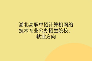 湖北高職單招計算機網(wǎng)絡(luò)技術(shù)專業(yè)公辦招生院校、就業(yè)方向