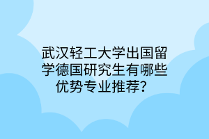 武漢輕工大學(xué)出國留學(xué)德國研究生有哪些優(yōu)勢專業(yè)推薦？