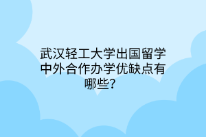 武漢輕工大學出國留學中外合作辦學優(yōu)缺點有哪些？