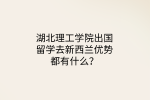 湖北理工學(xué)院出國留學(xué)去新西蘭優(yōu)勢都有什么？