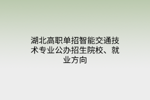 湖北高職單招智能交通技術(shù)專(zhuān)業(yè)公辦招生院校、就業(yè)方向