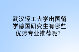 武漢輕工大學(xué)出國留學(xué)德國研究生有哪些優(yōu)勢專業(yè)推薦呢？