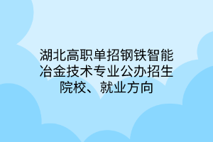 湖北高職單招鋼鐵智能冶金技術專業(yè)公辦招生院校、就業(yè)方向