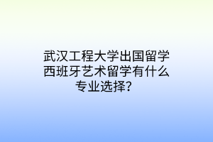 武漢工程大學出國留學西班牙藝術(shù)留學有什么專業(yè)選擇？