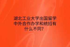 湖北工業(yè)大學(xué)出國留學(xué)中外合作辦學(xué)和統(tǒng)招有什么不同？