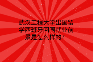 武漢工程大學(xué)出國(guó)留學(xué)西班牙回國(guó)就業(yè)前景是怎么樣的？