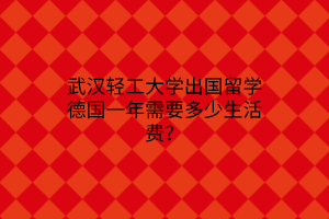 武漢輕工大學(xué)出國留學(xué)德國一年需要多少生活費？