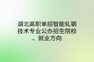 湖北高職單招智能軋鋼技術(shù)專業(yè)公辦招生院校、就業(yè)方向