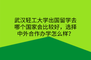 武漢輕工大學出國留學去哪個國家會比較好，選擇中外合作辦學怎么樣？