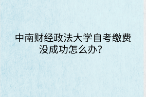 中南財(cái)經(jīng)政法大學(xué)自考繳費(fèi)沒成功怎么辦？
