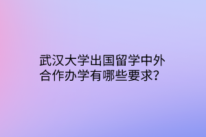 武漢大學(xué)出國(guó)留學(xué)中外合作辦學(xué)有哪些要求？