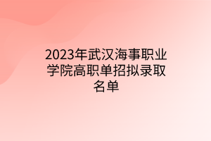 2023年武漢海事職業(yè)學(xué)院高職單招擬錄取名單