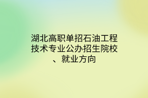 湖北高職單招石油工程技術(shù)專業(yè)公辦招生院校、就業(yè)方向