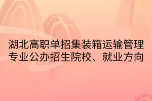 湖北高職單招集裝箱運(yùn)輸管理專業(yè)公辦招生院校、就業(yè)方向