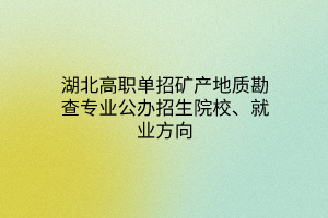 湖北高職單招礦產(chǎn)地質(zhì)勘查專業(yè)公辦招生院校、就業(yè)方向