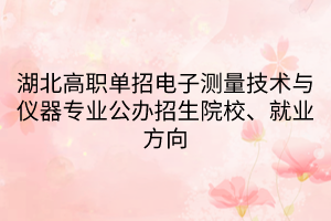 湖北高職單招電子測量技術(shù)與儀器專業(yè)公辦招生院校、就業(yè)方向