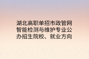 湖北高職單招市政管網(wǎng)智能檢測(cè)與維護(hù)專(zhuān)業(yè)公辦招生院校、就業(yè)方向