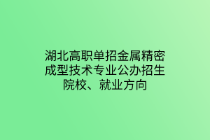 湖北高職單招金屬精密成型技術(shù)專業(yè)公辦招生院校、就業(yè)方向