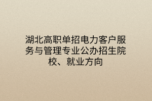 湖北高職單招電力客戶服務(wù)與管理專業(yè)公辦招生院校、就業(yè)方向