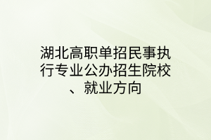 湖北高職單招民事執(zhí)行專(zhuān)業(yè)公辦招生院校、就業(yè)方向