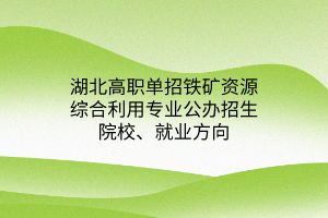 湖北高職單招鐵礦資源綜合利用專業(yè)公辦招生院校、就業(yè)方向