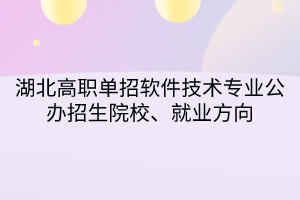 湖北高職單招軟件技術(shù)專業(yè)公辦招生院校、就業(yè)方向