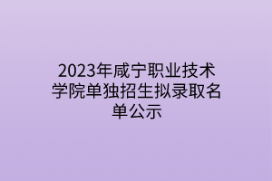 2023年咸寧職業(yè)技術(shù)學院單獨招生擬錄取名單公示