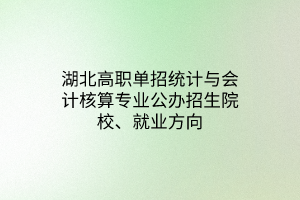 湖北高職單招統(tǒng)計與會計核算專業(yè)公辦招生院校、就業(yè)方向