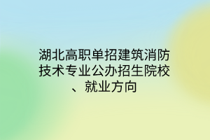 湖北高職單招建筑消防技術(shù)專業(yè)公辦招生院校、就業(yè)方向