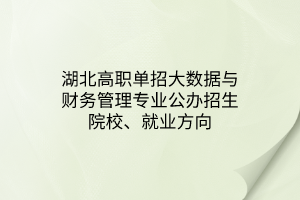 湖北高職單招大數(shù)據(jù)與財務(wù)管理專業(yè)公辦招生院校、就業(yè)方向